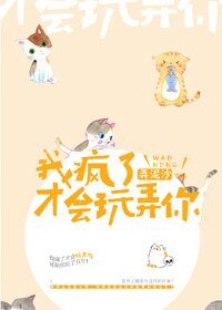 《我疯了才会玩弄你》