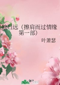《獨歸遠(擦肩而過情緣第一部)》